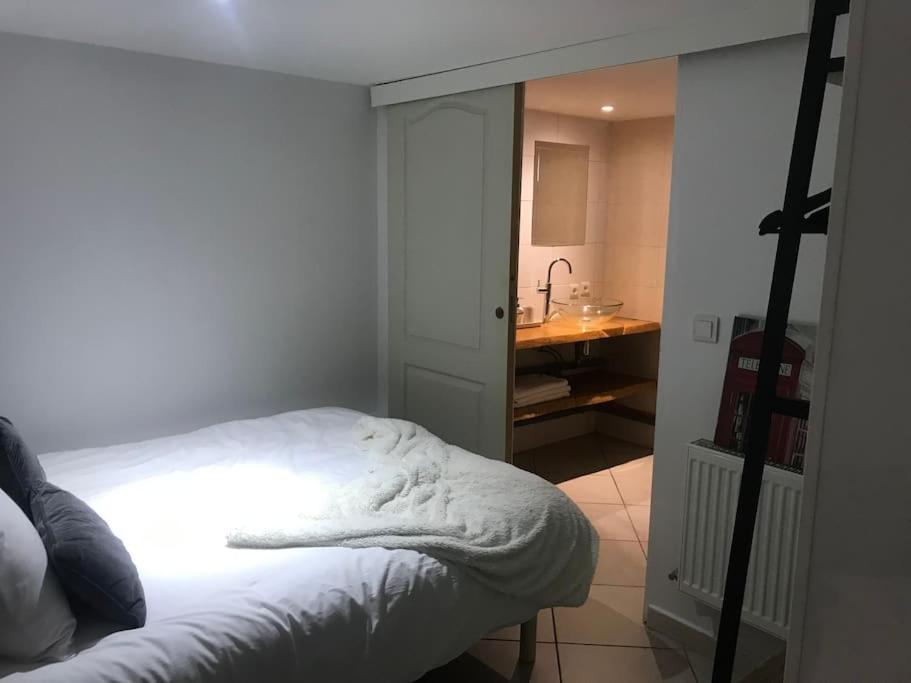 Appartement A La Decouverte De Strasbourg Bischheim Bagian luar foto