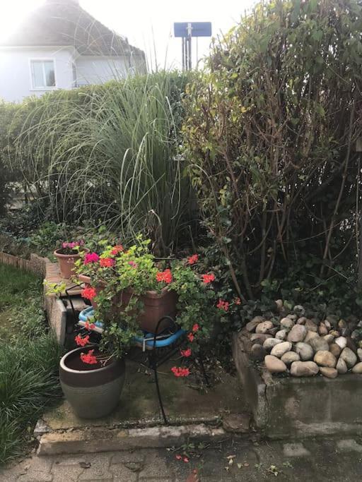 Appartement A La Decouverte De Strasbourg Bischheim Bagian luar foto